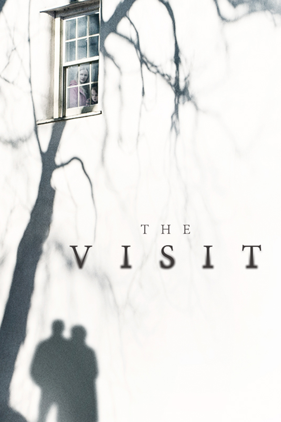 The Visit