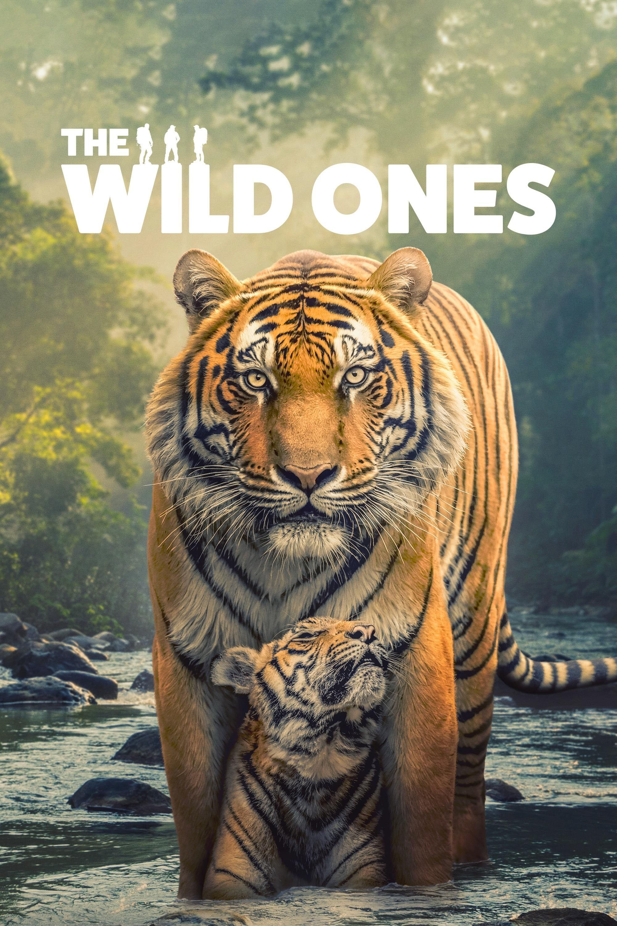 The Wild Ones (2025)