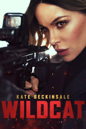 Wildcat